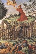 Sandro Botticelli prayer in the Garden (mk36) Germany oil painting artist